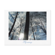 Fly away post card