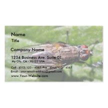 Fly Bugs Insects Business Card Template
