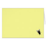 fly cards