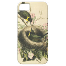 FLY CATCHER BIRD AND NEST iPhone 5 COVER