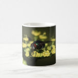 Fly Coffee Mug