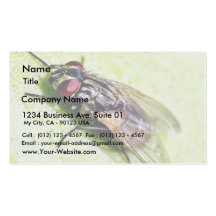 Fly Flies Insect Business Cards