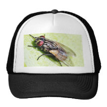 Fly Flies Insect Hat