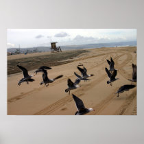 fly fly 001 print