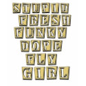 Fly Girl HIP HOP t shirt