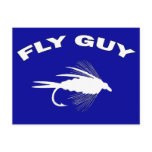 FLY GUY - POSTCARDS
