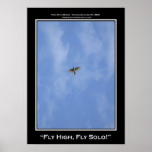 "FLY HIGH, FLY SOLO!" Photo Print or Poster