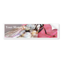 Fly Insect Bumper Sticker