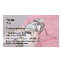 Fly Insect Business Cards
