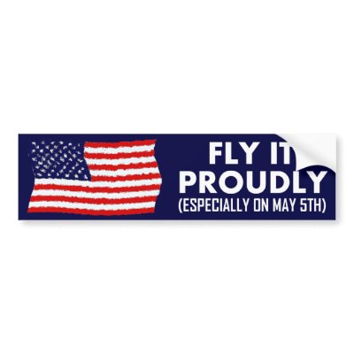 Fly It Proudly Bumper Sticker by Megatudes
