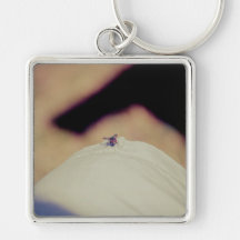 Fly Key Chains