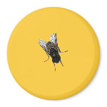 fly