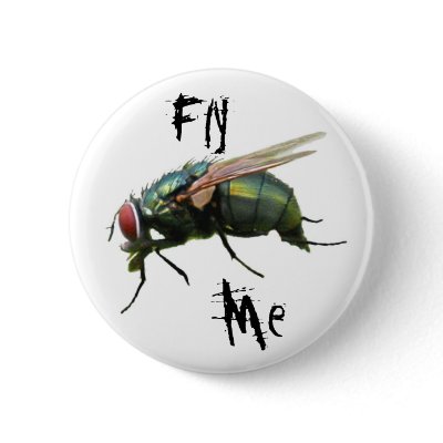 Fly  Me Pin by valleyvisions