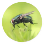 Fly Me Sticker