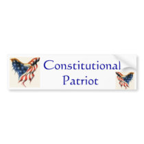 Fly my American Pride