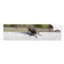 Fly On A Rail Bumper Sticker