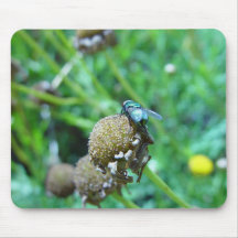 Fly On Dried Flower Mousepads