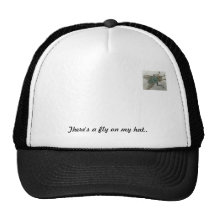 Fly on my hat...