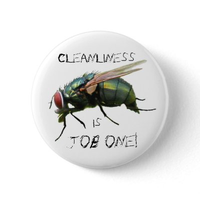 Fly Pin by valleyvisions