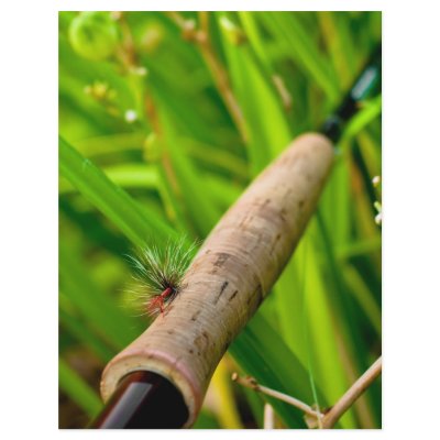Fly Rod with Fly on Handle Personalized Flyer by HaslamPhoto