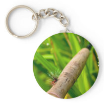 Fly Rod with Fly on Handle Keychains