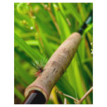 Fly Rod with Fly on Handle letterhead