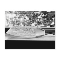 Fly swatter post card