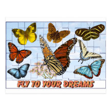 Fly To Your Dreams Postcards