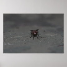 Fly - with Flash Print