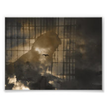 Fly with me photo