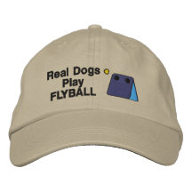 Flyball Box Embroidered Hat