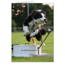 flyball greeting card