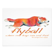 Flyball real dogs announcements