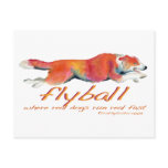 Flyball real dogs postcard