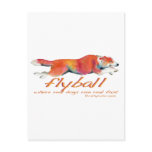 Flyball real dogs post cards