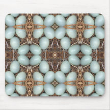 Flycatcher Eggs Kaleidoscope Mousepad