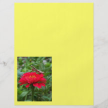 Flyer/Praying Mantis and Zinnia