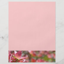 Flyers custom Create Your Own Pink Dogwood Flowers