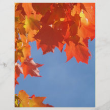 Flyers paper Orange Autumn Leaves Blue Sky
