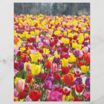 Flyers Paper Spring Theme Tulip Flowers