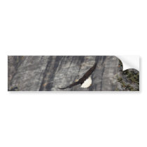 Flying Bald Eagle Bumper Sticker
