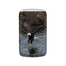 Flying Bald Eagle Fishing on Coastal Shore Case Blackberry Bold Cases