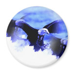 Flying Bald Eagle Fridge Magnets