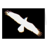 Flying Bird Silhouette Card