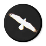 Flying Bird Silhouette Magnet