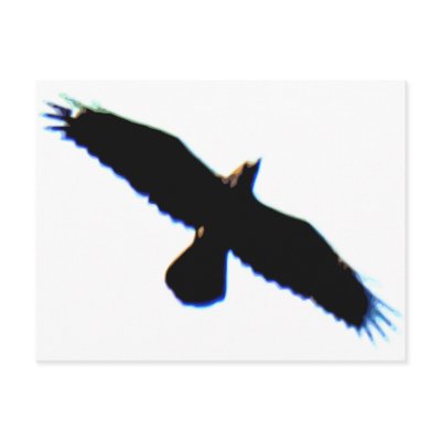 Flying Bird Silhouette Post Cards by QueenHare