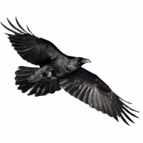 FLYING BLACK RAVEN (sculpted) Magnet Cut Out