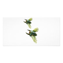 Flying bugs photo cards