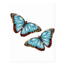 Flying Butterflies Post Card