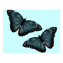 Flying Butterflies Post Card